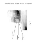 TARGET TRACKING USING DIRECT TARGET REGISTRATION diagram and image