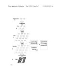 LOCALITY-CONSTRAINED LINEAR CODING SYSTEMS AND METHODS FOR IMAGE CLASSIFICATION diagram and image