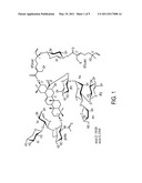 USE OF AVICINS TO DELIVER THERAPEUTIC AND DIAGNOSTIC AGENTS diagram and image