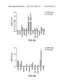 RADIOLABELED GALLIUM COMPLEXES, METHODS FOR SYNTHESIS AND USE FOR PET IMAGING OF EGFR EXPRESSION IN MALIGNANT TUMORS diagram and image