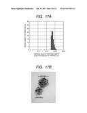 CONTRAST AGENT FOR PHOTOACOUSTIC IMAGING AND PHOTOACOUSTIC IMAGING METHOD USING THE SAME diagram and image