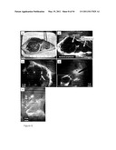 DEVICE AND METHOD FOR FLUORESCENCE-BASED IMAGING AND MONITORING diagram and image