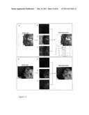 DEVICE AND METHOD FOR FLUORESCENCE-BASED IMAGING AND MONITORING diagram and image