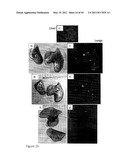 DEVICE AND METHOD FOR FLUORESCENCE-BASED IMAGING AND MONITORING diagram and image