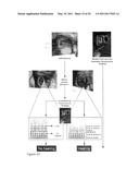 DEVICE AND METHOD FOR FLUORESCENCE-BASED IMAGING AND MONITORING diagram and image