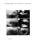 DEVICE AND METHOD FOR FLUORESCENCE-BASED IMAGING AND MONITORING diagram and image