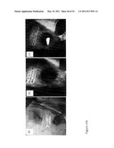 DEVICE AND METHOD FOR FLUORESCENCE-BASED IMAGING AND MONITORING diagram and image