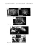 DEVICE AND METHOD FOR FLUORESCENCE-BASED IMAGING AND MONITORING diagram and image