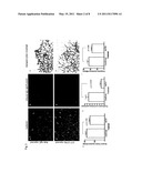 ADAM-15 ANTIBODIES AND IMMUNOGENIC PEPTIDES diagram and image