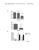 ADAM-15 ANTIBODIES AND IMMUNOGENIC PEPTIDES diagram and image