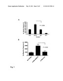 ADAM-15 ANTIBODIES AND IMMUNOGENIC PEPTIDES diagram and image