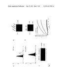 ADAM-15 ANTIBODIES AND IMMUNOGENIC PEPTIDES diagram and image