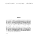 ADAM-15 ANTIBODIES AND IMMUNOGENIC PEPTIDES diagram and image