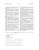 ADAM-15 ANTIBODIES AND IMMUNOGENIC PEPTIDES diagram and image