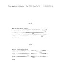 MONOCLONAL ANTIBODY SPECIFIC TO ANTHRAX TOXIN diagram and image