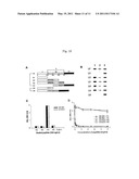 MONOCLONAL ANTIBODY SPECIFIC TO ANTHRAX TOXIN diagram and image