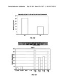 Isolated Renal Cells and Uses Thereof diagram and image