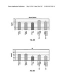 Isolated Renal Cells and Uses Thereof diagram and image