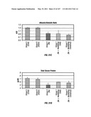 Isolated Renal Cells and Uses Thereof diagram and image