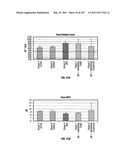 Isolated Renal Cells and Uses Thereof diagram and image