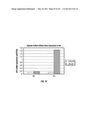 Isolated Renal Cells and Uses Thereof diagram and image