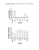 Isolated Renal Cells and Uses Thereof diagram and image