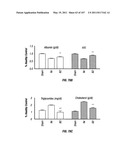 Isolated Renal Cells and Uses Thereof diagram and image