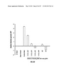 Isolated Renal Cells and Uses Thereof diagram and image