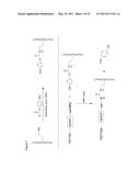 METHODS AND COMPOSITIONS FOR SOFT TISSUE REPAIR diagram and image