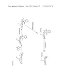 METHODS AND COMPOSITIONS FOR SOFT TISSUE REPAIR diagram and image