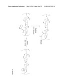 METHODS AND COMPOSITIONS FOR SOFT TISSUE REPAIR diagram and image