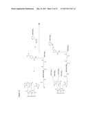 METHODS AND COMPOSITIONS FOR SOFT TISSUE REPAIR diagram and image