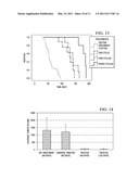 Novel Therapeutic RNA Interference Technology Targeted to the PDX-1 Oncogene in PDX-1 Expressing Neuroendocrine Tumors diagram and image