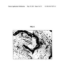 TOPICAL COMPOSITIONS AND METHODS FOR EPITHELIAL-RELATED CONDITIONS diagram and image