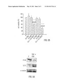 ANTI-TUMOURAL EFFECTS OF CANNABINOID COMBINATIONS diagram and image