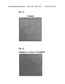 Composition Comprising Bamboo Extract and the Compounds Isolated Therefrom Showing Treating and Preventing Activity for Inflammatory and Blood Circulation Disease diagram and image
