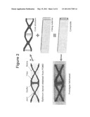 BIOMIMETIC TENDON-REINFORCED (BTR) COMPOSITE MATERIALS diagram and image