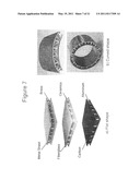 BIOMIMETIC TENDON-REINFORCED (BTR) COMPOSITE MATERIALS diagram and image