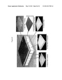 BIOMIMETIC TENDON-REINFORCED (BTR) COMPOSITE MATERIALS diagram and image