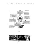 BIOLOGICAL REGENERATE diagram and image