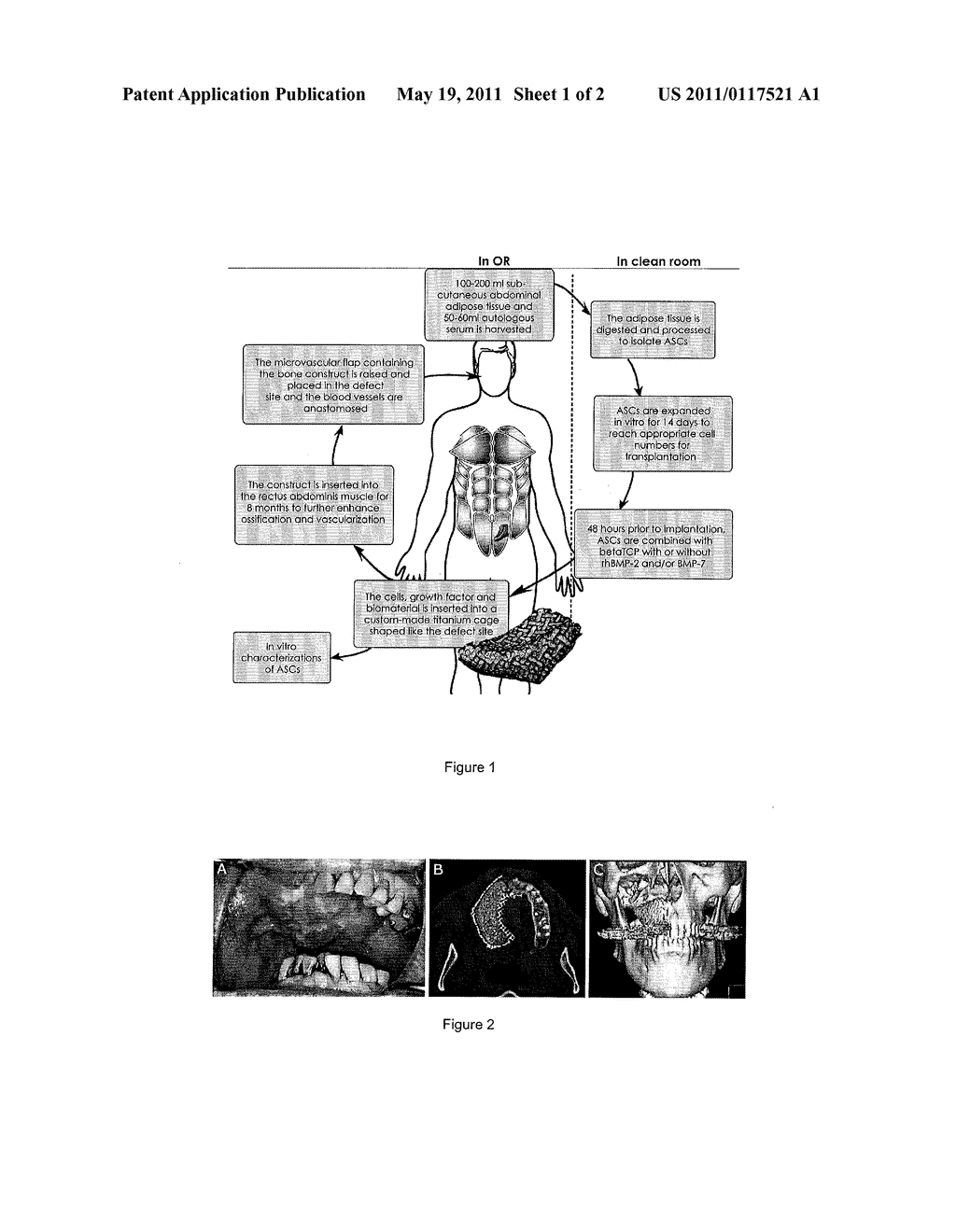 BIOLOGICAL REGENERATE - diagram, schematic, and image 02