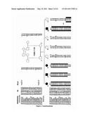 DIAGNOSIS OF HEREDITARY SPASTIC PARAPLEGIAS (HSP) BY IDENTIFICATION OF A MUTATION IN THE ZFYVE26 GENE OR PROTEIN diagram and image