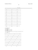 DIAGNOSIS OF HEREDITARY SPASTIC PARAPLEGIAS (HSP) BY IDENTIFICATION OF A MUTATION IN THE ZFYVE26 GENE OR PROTEIN diagram and image