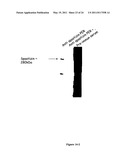 DIAGNOSIS OF HEREDITARY SPASTIC PARAPLEGIAS (HSP) BY IDENTIFICATION OF A MUTATION IN THE ZFYVE26 GENE OR PROTEIN diagram and image