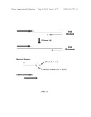 SMALL RNA DETECTION ASSAYS diagram and image