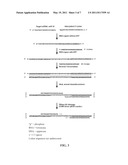 SMALL RNA DETECTION ASSAYS diagram and image