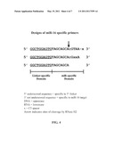 SMALL RNA DETECTION ASSAYS diagram and image