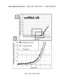 ASSESSING LEFT VENTRICULAR REMODELING VIA TEMPORAL DETECTION AND MEASUREMENT OF microRNA IN BODY FLUIDS diagram and image