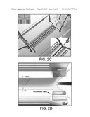 System and Method for Quantitative Assessment of Biological Migration Behavior diagram and image