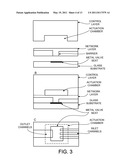 System and Method for Quantitative Assessment of Biological Migration Behavior diagram and image